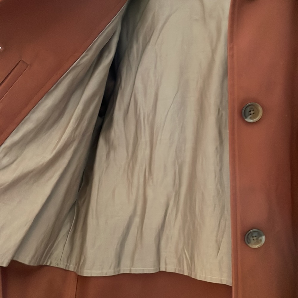 Everlane Rust Brown Pea Coat - Picture 4 of 9